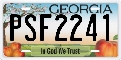 GA license plate PSF2241