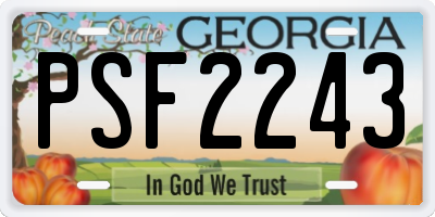 GA license plate PSF2243