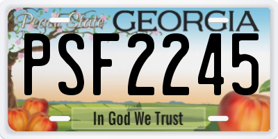 GA license plate PSF2245