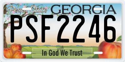 GA license plate PSF2246