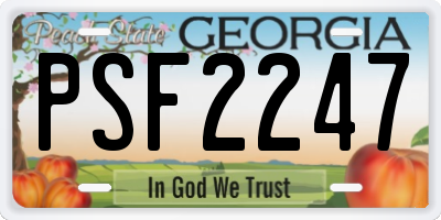 GA license plate PSF2247