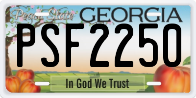 GA license plate PSF2250