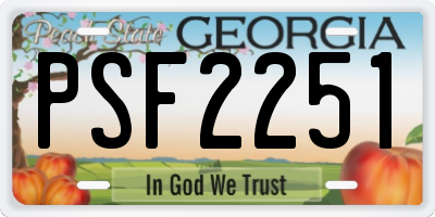 GA license plate PSF2251