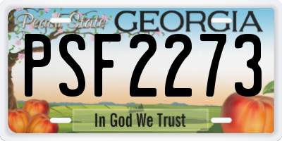 GA license plate PSF2273