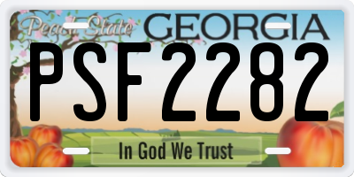 GA license plate PSF2282