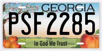 GA license plate PSF2285