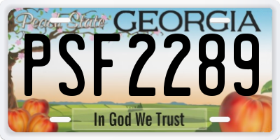 GA license plate PSF2289