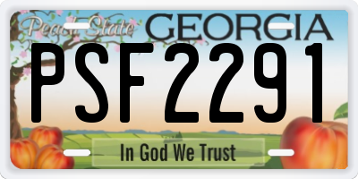 GA license plate PSF2291