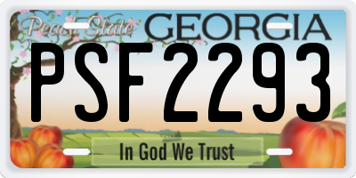 GA license plate PSF2293
