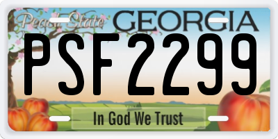 GA license plate PSF2299