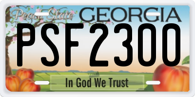 GA license plate PSF2300