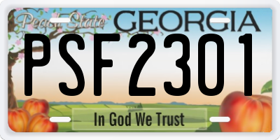 GA license plate PSF2301