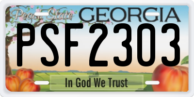 GA license plate PSF2303