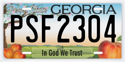 GA license plate PSF2304