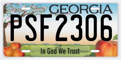 GA license plate PSF2306