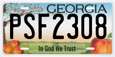 GA license plate PSF2308