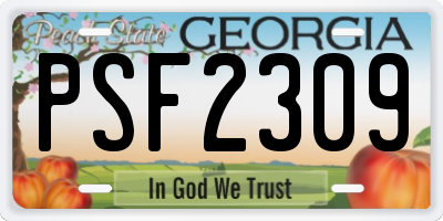 GA license plate PSF2309