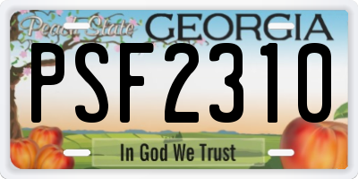 GA license plate PSF2310