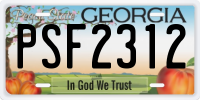 GA license plate PSF2312