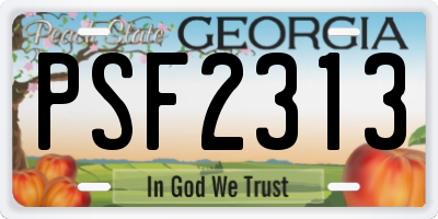 GA license plate PSF2313