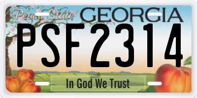 GA license plate PSF2314