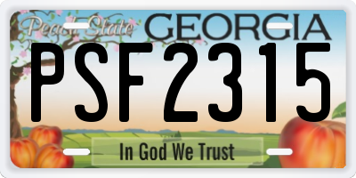 GA license plate PSF2315