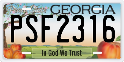 GA license plate PSF2316
