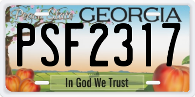 GA license plate PSF2317