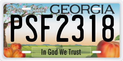 GA license plate PSF2318