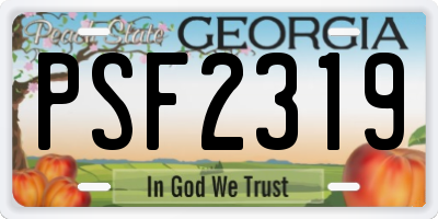 GA license plate PSF2319