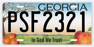 GA license plate PSF2321