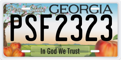 GA license plate PSF2323