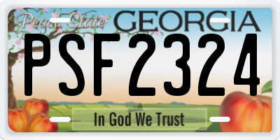 GA license plate PSF2324