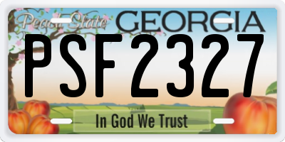 GA license plate PSF2327