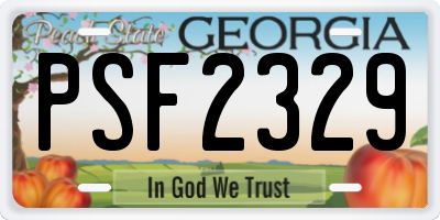 GA license plate PSF2329