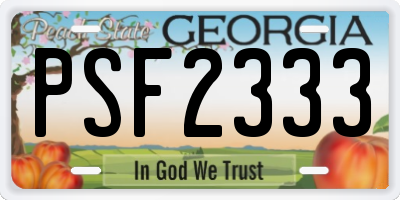 GA license plate PSF2333