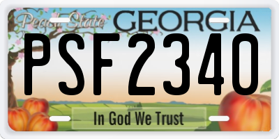 GA license plate PSF2340