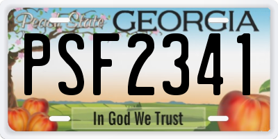 GA license plate PSF2341