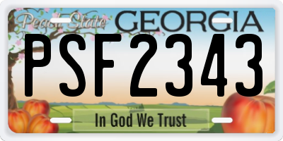 GA license plate PSF2343