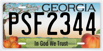 GA license plate PSF2344