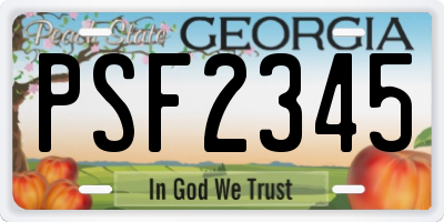 GA license plate PSF2345