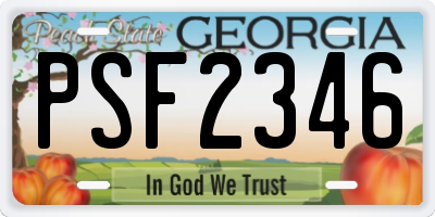 GA license plate PSF2346