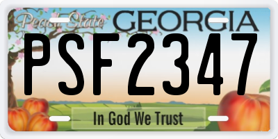 GA license plate PSF2347