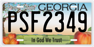 GA license plate PSF2349