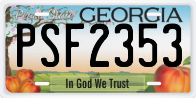 GA license plate PSF2353