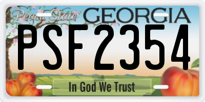 GA license plate PSF2354