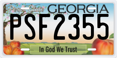 GA license plate PSF2355