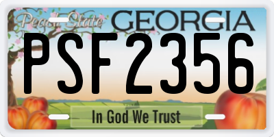 GA license plate PSF2356