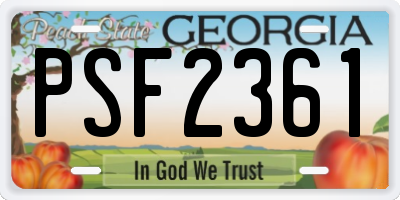 GA license plate PSF2361