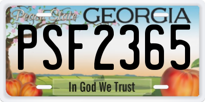 GA license plate PSF2365